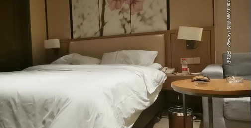 【AI画质修复】黄先生代班经典一战，花3000块约外围，大胸情趣装干了两炮，年度喜剧大作，剧情跌宕起伏(1)