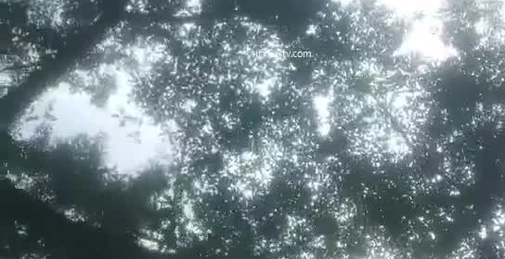 【探个花内个射】,良家小少妇,赚钱补贴家用,颇有几分姿色皮肤白皙
